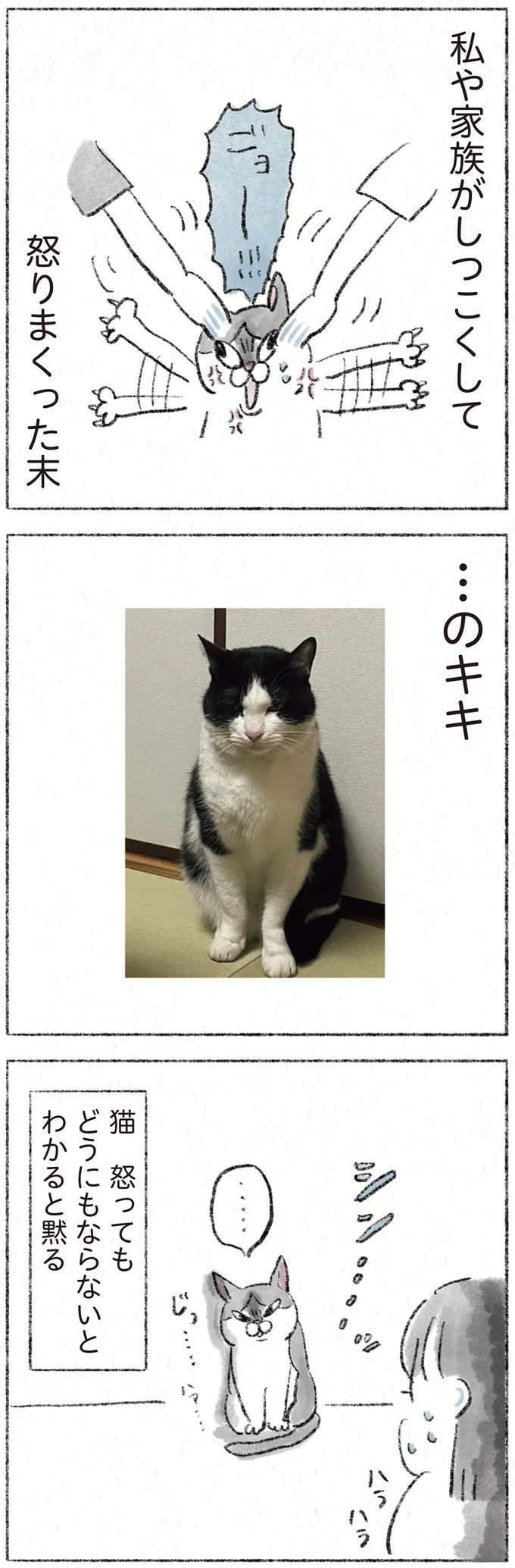 『うちの猫は今日も塩対応』 22.webp