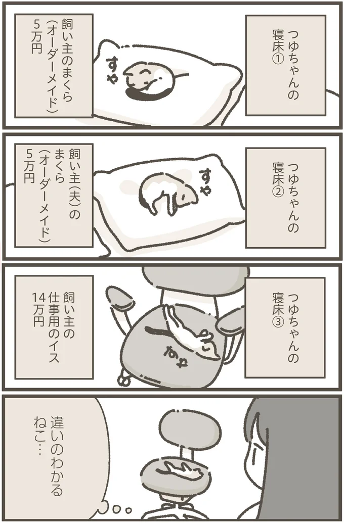 やっぱり隙間が好き？ 枕の間でスヤスヤの保護ねこちゃん／ねこのつゆちゃんのことで頭がいっぱいです 16124232.webp