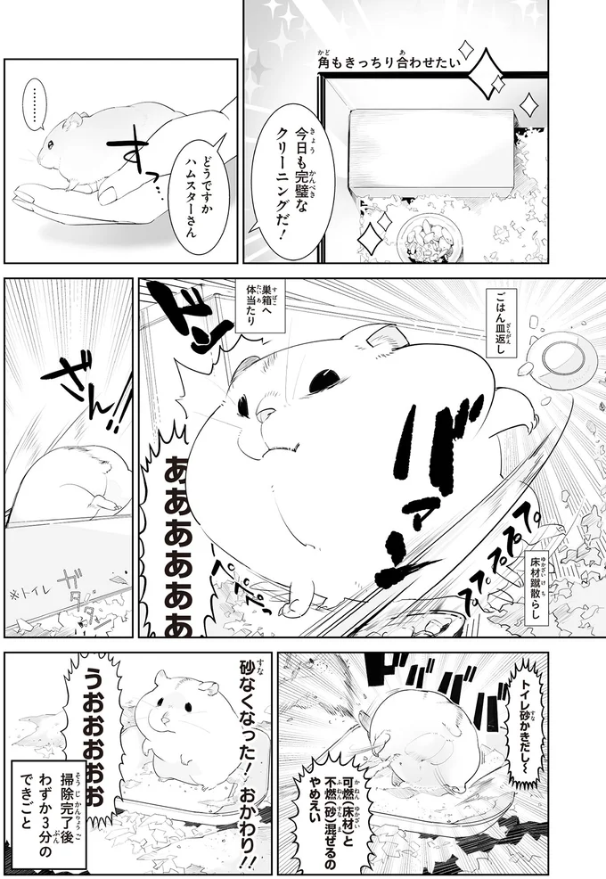 「あーもうしつこいっ」飼い主のかまって攻撃にハムスターが見せた「機転」/はむはむづくし2 26-01.png