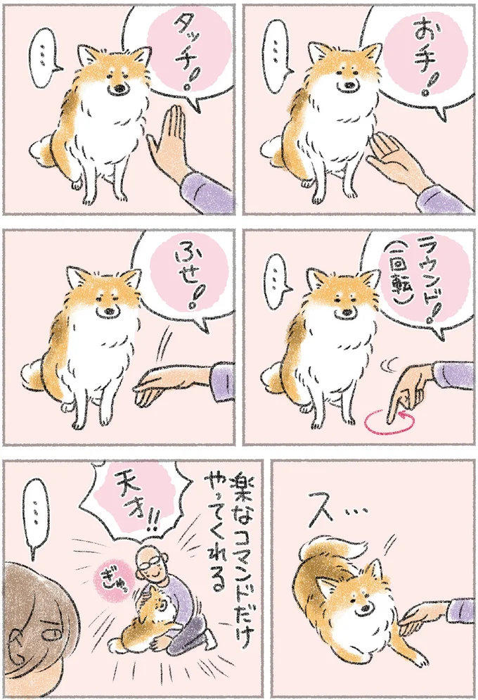 天才...？ 愛犬がお手、タッチ、ふせ...飼い主の指示から「選ぶ」のは？／犬を揉む 13.png