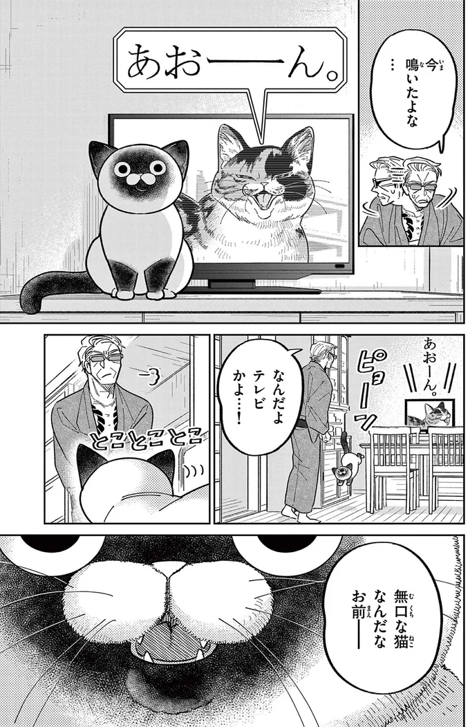 野良猫の鳴き声を聞いてみたい！ あの手この手と仕掛けるものの...／オヤジとにゃん吉 16214558.webp