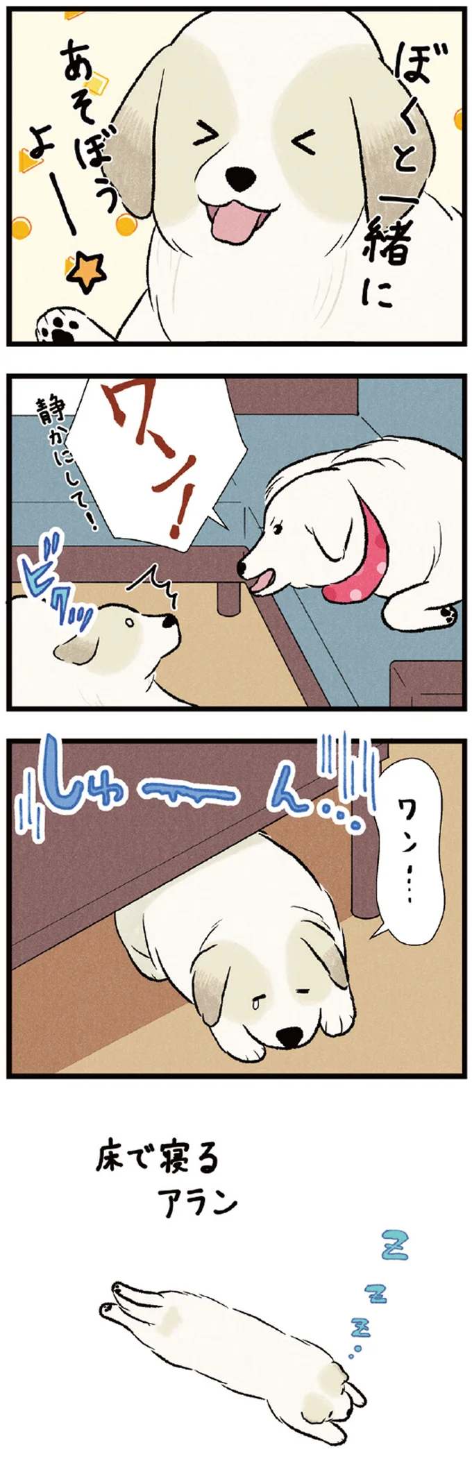 先輩犬のまったりタイムは邪魔しちゃダメ！ 我が家のワンコたちの日常／今日のルンルン 01-04.webp