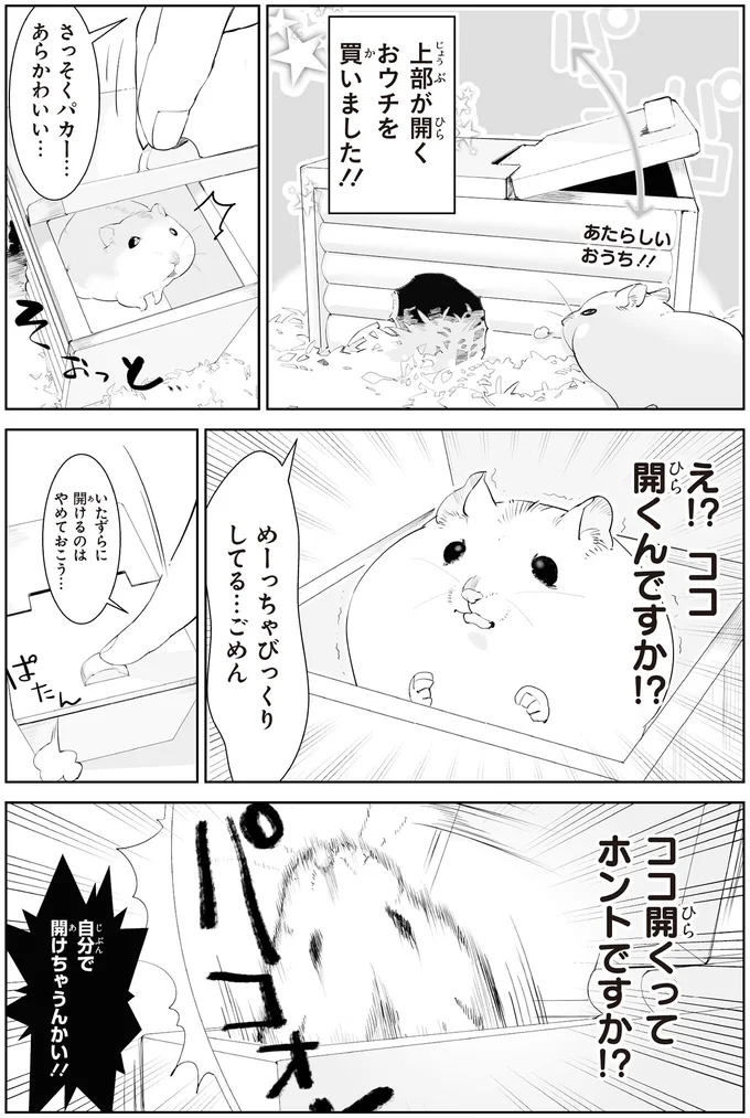 新しいおうちに興味津々のハムスター。屋根をパカッと開けてみたら...「えっ」/はむはむづくし2 29-01.png