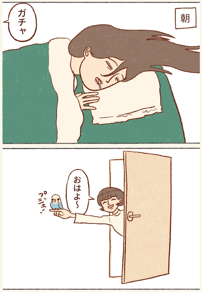 『プジェ日記！ 幸せを運ぶインコのみっちゃん』 111.webp