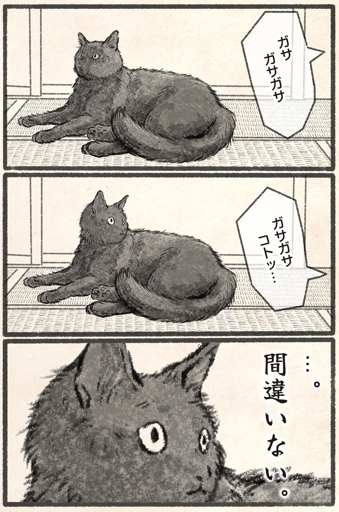 「あの音だ」飼い主に詰め寄る猫。その圧が...／今日もネコ様の圧が強い 08-01.png