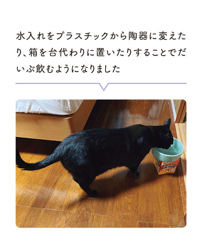 猫にとって「だいたいのことは飼い主のせい」...？ えっ、完全にそれは...！／黒猫ろんと暮らしたら 14.jpg