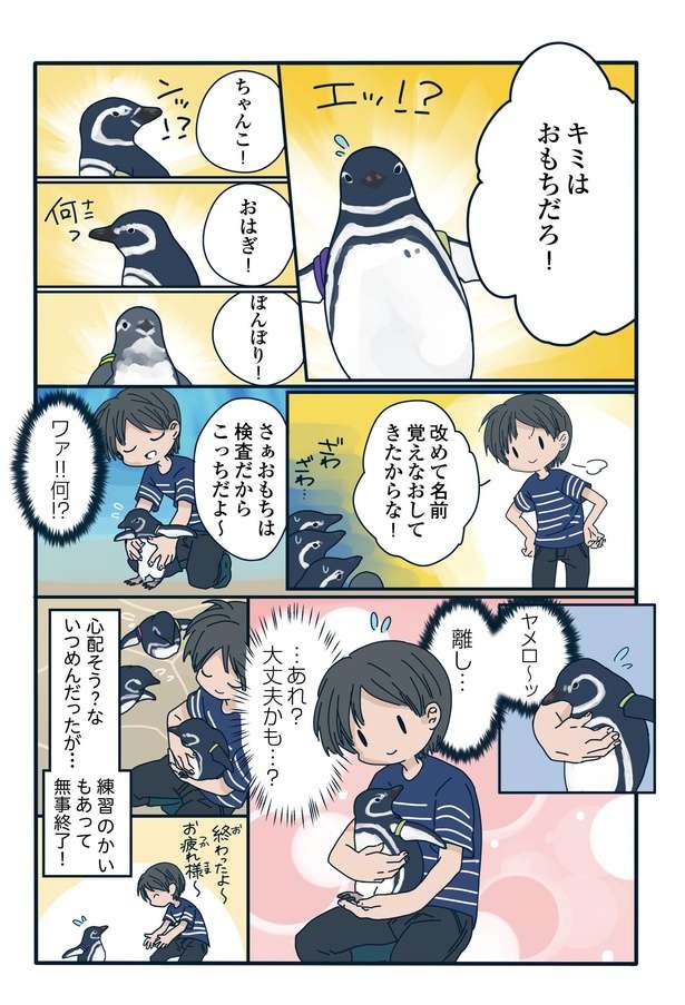 水族館の飼育員にとって大切な「3つの気持ち」とは？ 新人の奮闘ぶりに愛があふれるペンギン漫画 80ペンギンの飼育員にとって大切なこととは...？「下町ペンギン物語」第十話3.jpg