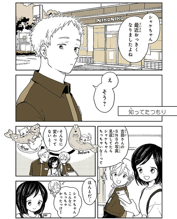 愛する猫の体調が急変！ 獣医師の指摘に飼い主が真っ青に...／特別じゃない日 15667052.webp