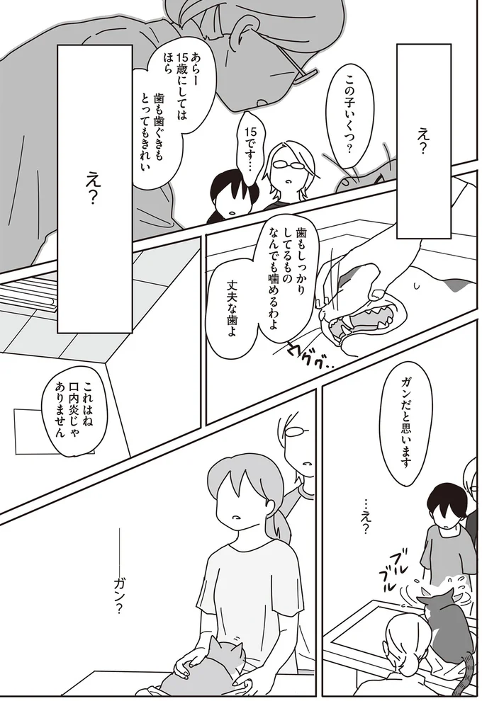 『世界一幸せな飼い主にしてくれた猫』 07-02.png