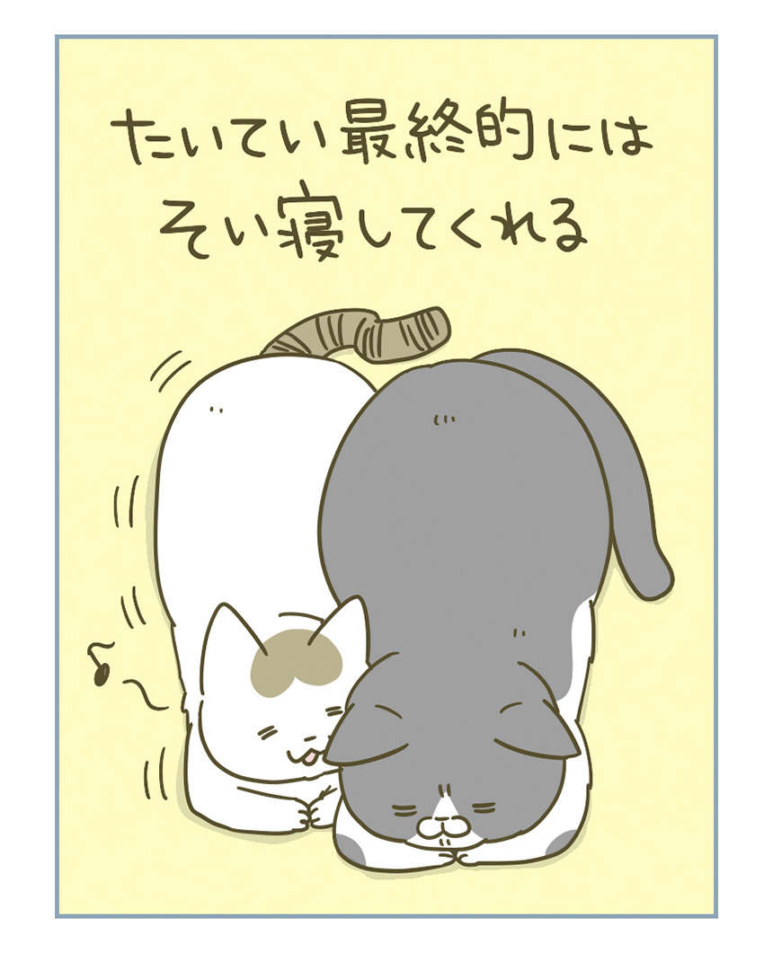 添い寝したい猫と拒否する猫。猫の「納得いかない表情」がたまらない／うちの猫がまた変なことしてる。3 11.jpg