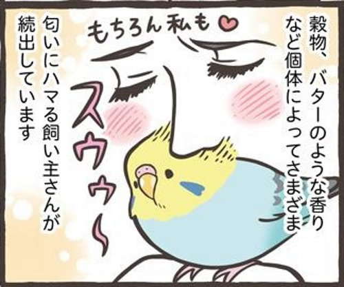 「小鳥からの手紙」にほっこりして、獣医の専門知識まで。 読めば「トリをお迎えしたくなるマンガ」 toriatsukaisetsumesyo_155-1.jpg