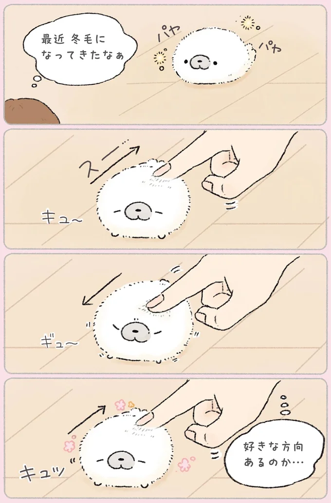 『ちょこんとあざらし』 41.webp