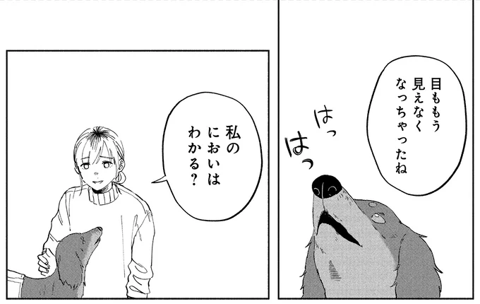 『アルへ』 04-01.webp