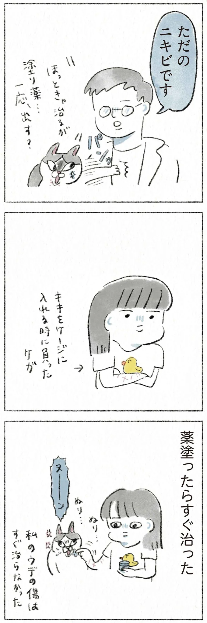 何かの感染症⁉ どどどうしよう。愛猫の顎にできものが...慌てて受診したら／うちの猫は今日も塩対応 13.webp