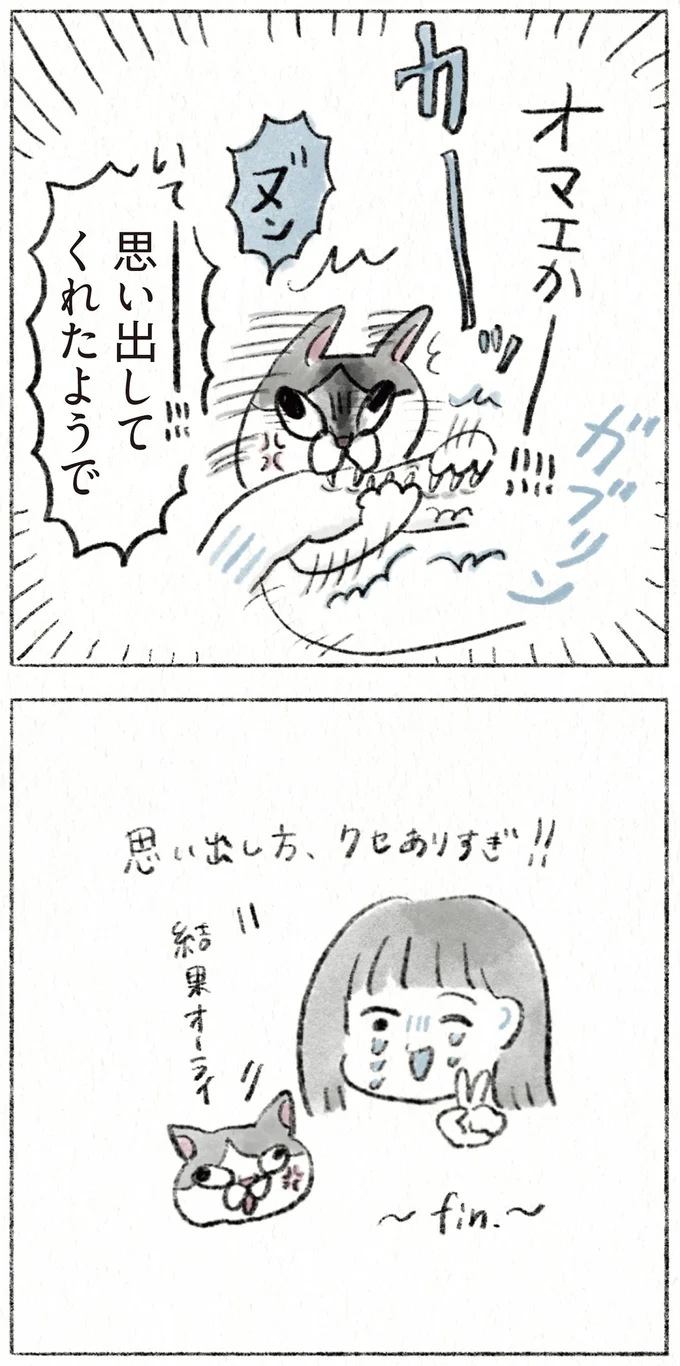 『うちの猫は今日も塩対応』 63.webp