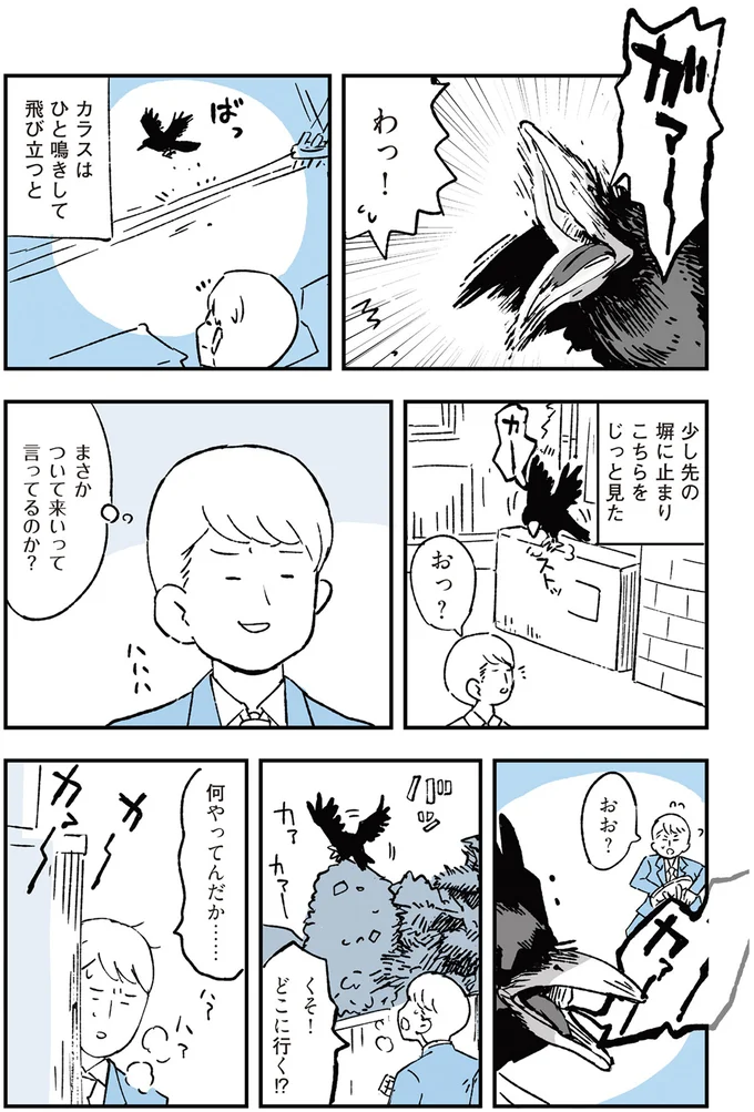 「教えてくれたらお礼やるよ」。道に迷った会社員がカラスに頼んだら...／動物たちが残した25個の不思議なメッセージ 14555401.webp