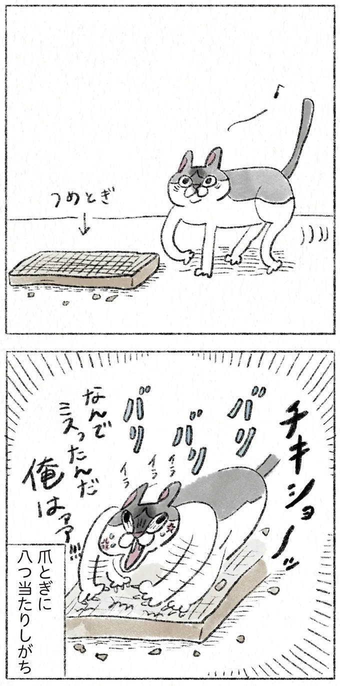 『うちの猫は今日も塩対応』 44.webp