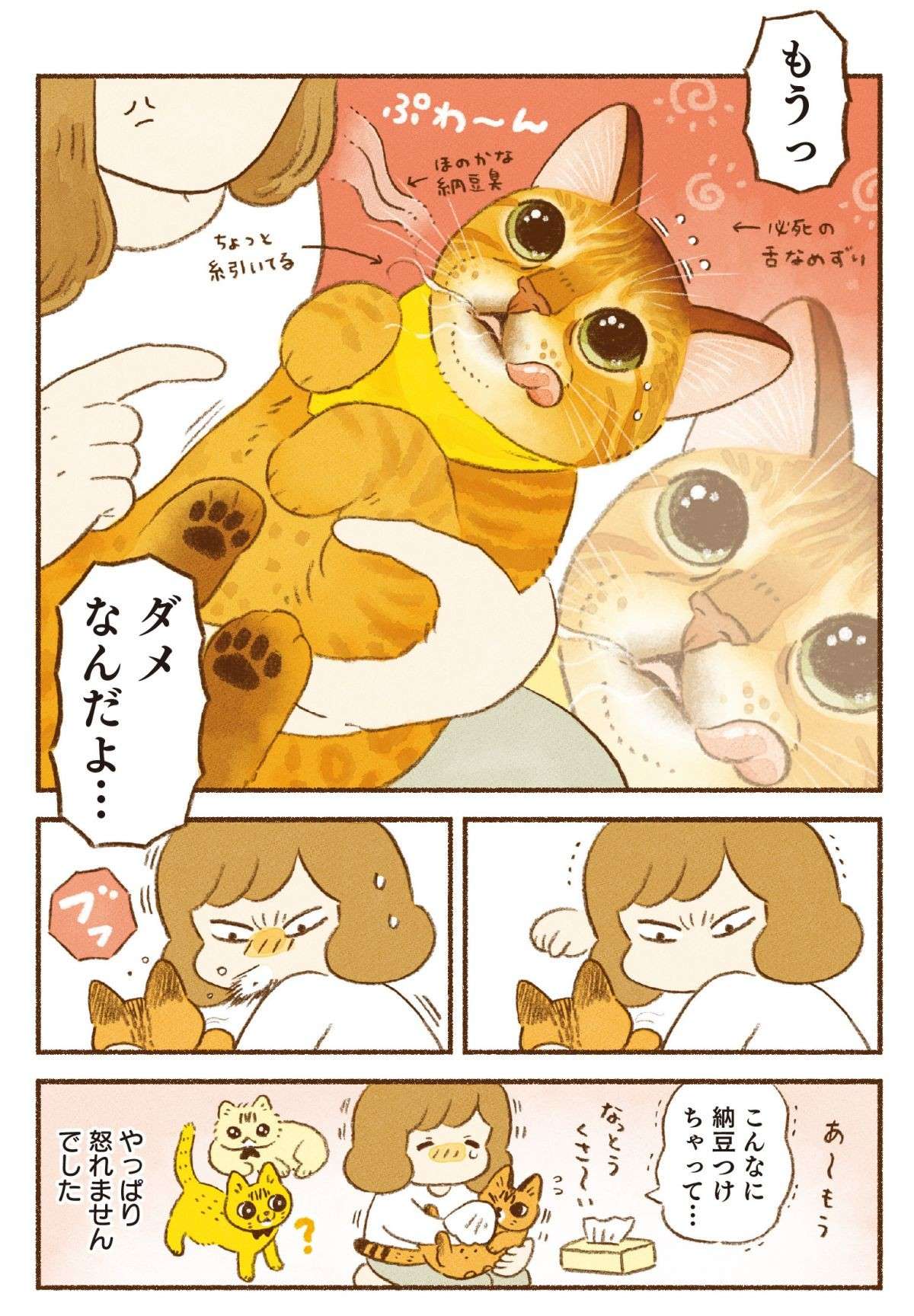 「猫のいたずらを怒れるか問題」。こんな姿を見せられたら...！／しまねこ3姉妹と暮らしています 13.jpg