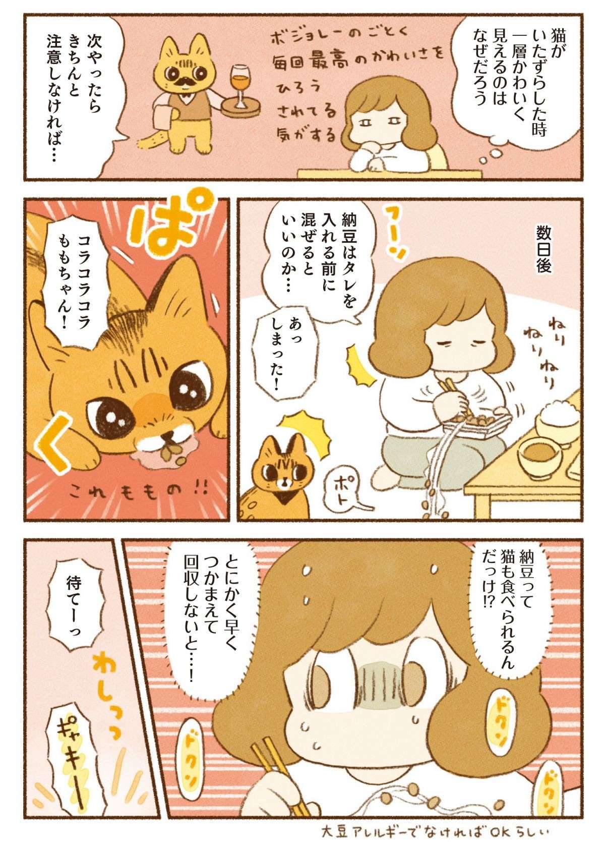 「猫のいたずらを怒れるか問題」。こんな姿を見せられたら...！／しまねこ3姉妹と暮らしています 12.jpg