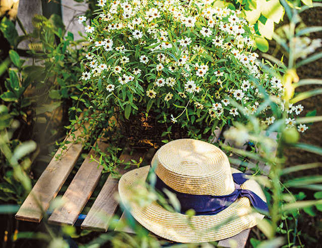 人気ガーデナー・水谷昭美さんの暮らしを拝見！「小さな庭に風が渡れば」