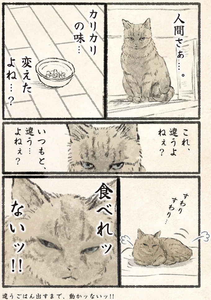 『今日もネコ様の圧が強い』 06-01.png