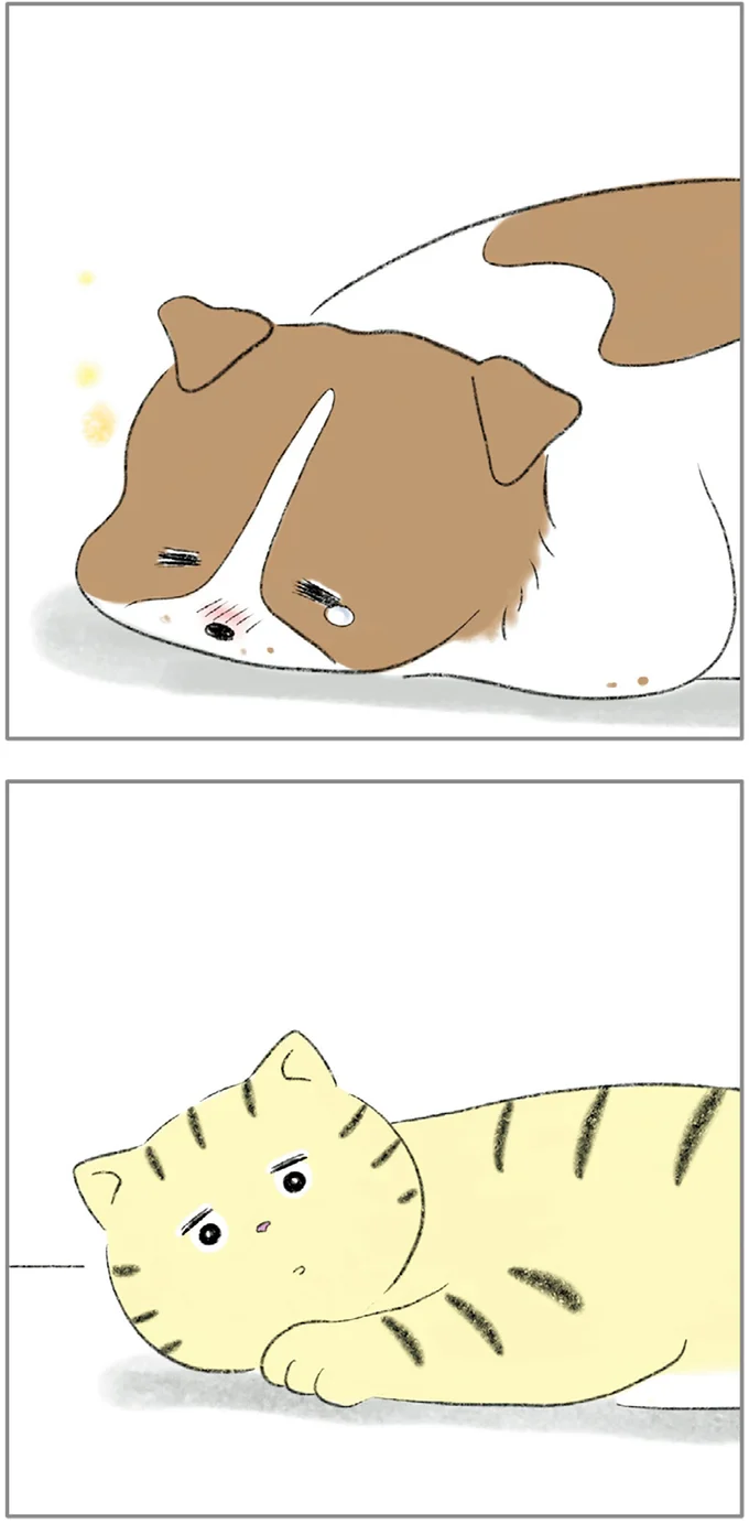 『ターとアグのしあわせ日和 元ノラ猫と元保護犬、ふたりは親友』 08-11.png