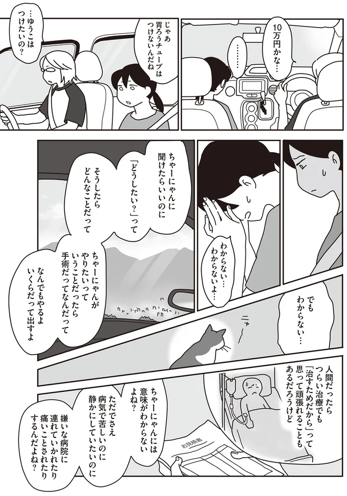 『世界一幸せな飼い主にしてくれた猫』 10-02.png