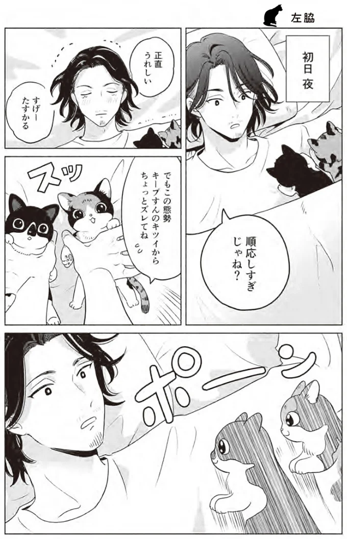 『借金1000万作曲家の人生を変えてくれた猫の話』 33.webp