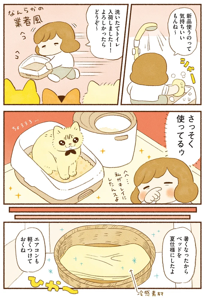 『しまねこ3姉妹と暮らしています　深まるきずな編』 13539114.webp