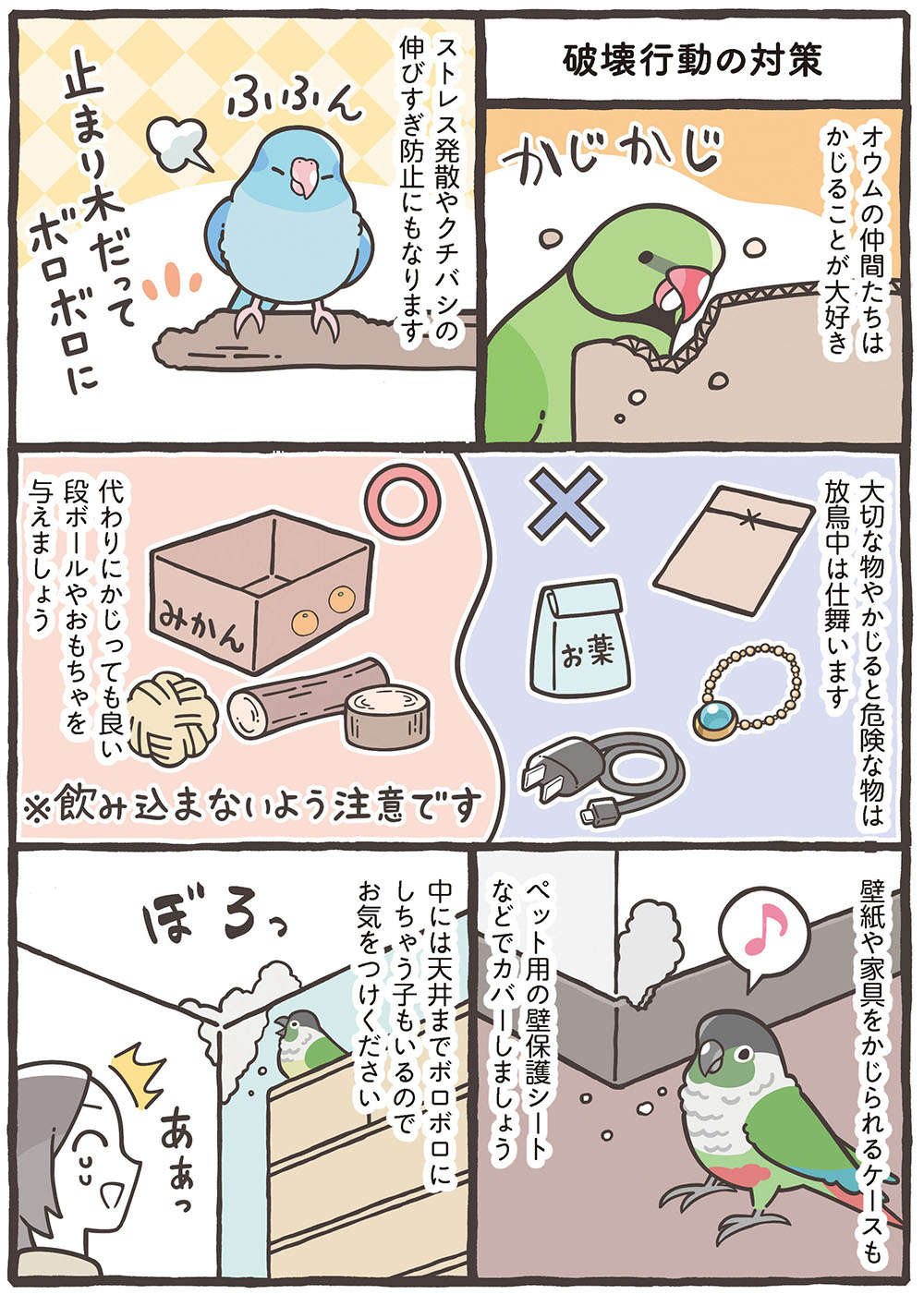 激しい呼び鳴き、大切な書類をかじられちゃった...鳥さんの「困った行動」への対処法／トリ扱い説明書 繝医Μ謇ｱ縺・ｪｬ譏取嶌_繝槭Φ繧ｫ繧咏判蜒・繝医Μ謇ｱ縺・ｪｬ譏取嶌_050.jpg