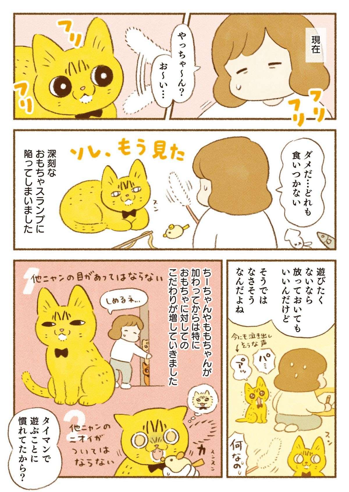 「ウソ...」おもちゃに興味を示さない猫。え、こっちがいいの!?／しまねこ3姉妹と暮らしています 11.jpg