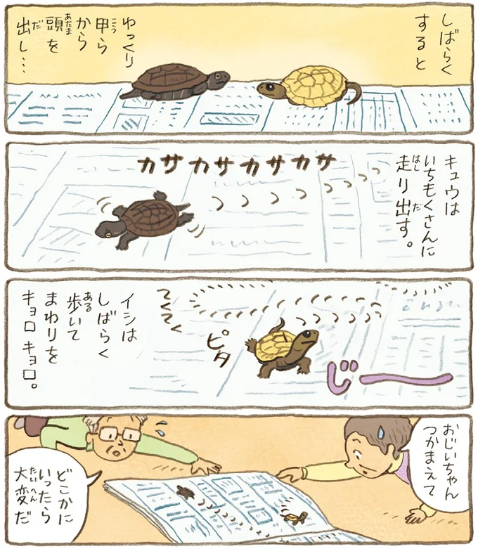 おばあちゃんとかめ 何げに楽しい2匹とのくらし 10-04.webp