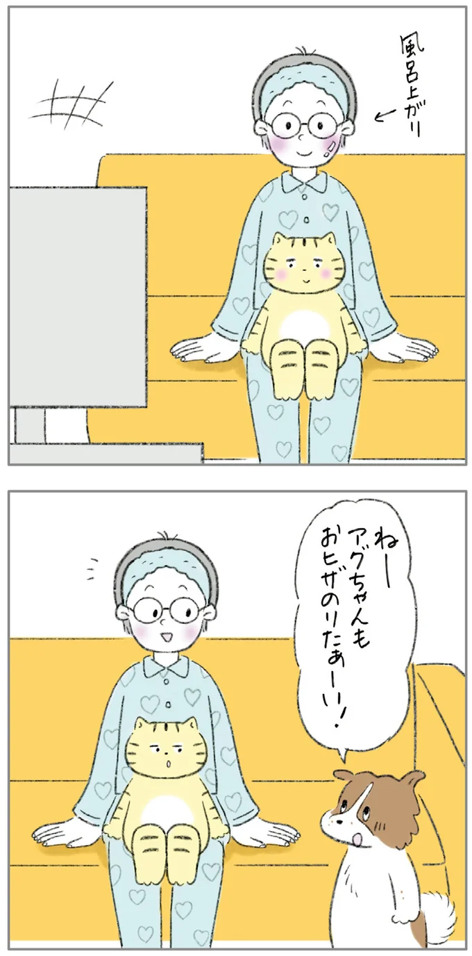 重い...けど幸せ！ わが家の猫＆犬が飼い主のひざにドッカリ／元ノラ猫と元保護犬、ふたりは親友 09-01.png