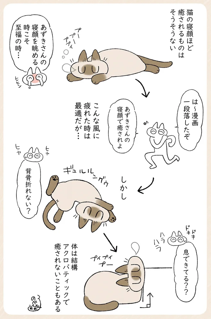 『シャム猫あずきさんは世界の中心』1〜2 17-03.png