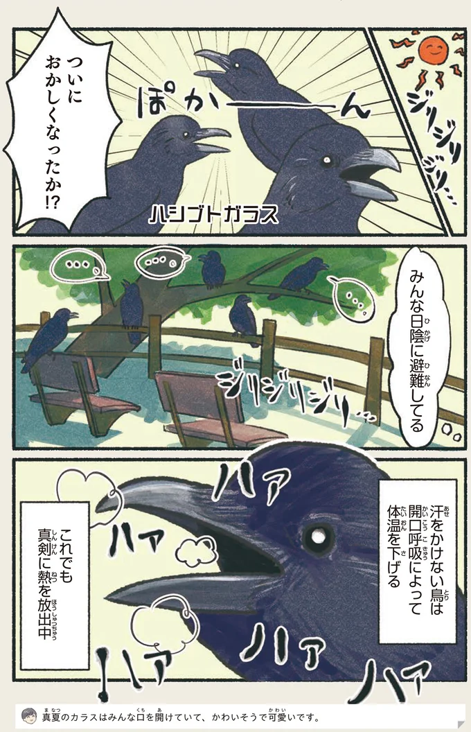 『意外と知らない鳥の生活 1〜2』 51.webp