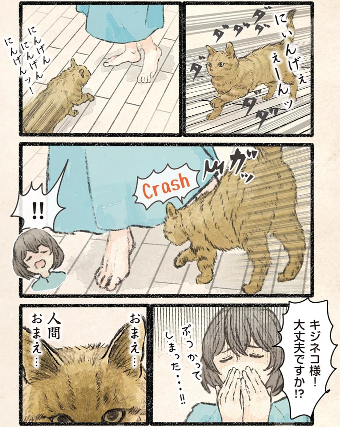 『今日もネコ様の圧が強い2』 61.webp