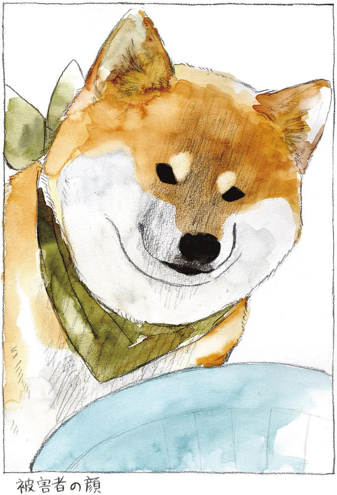 アレを収集したい柴犬。没収したらこんな「被害者の顔」に／柴犬ぽんちゃん、今日もわが道を行く２ 07-04.png