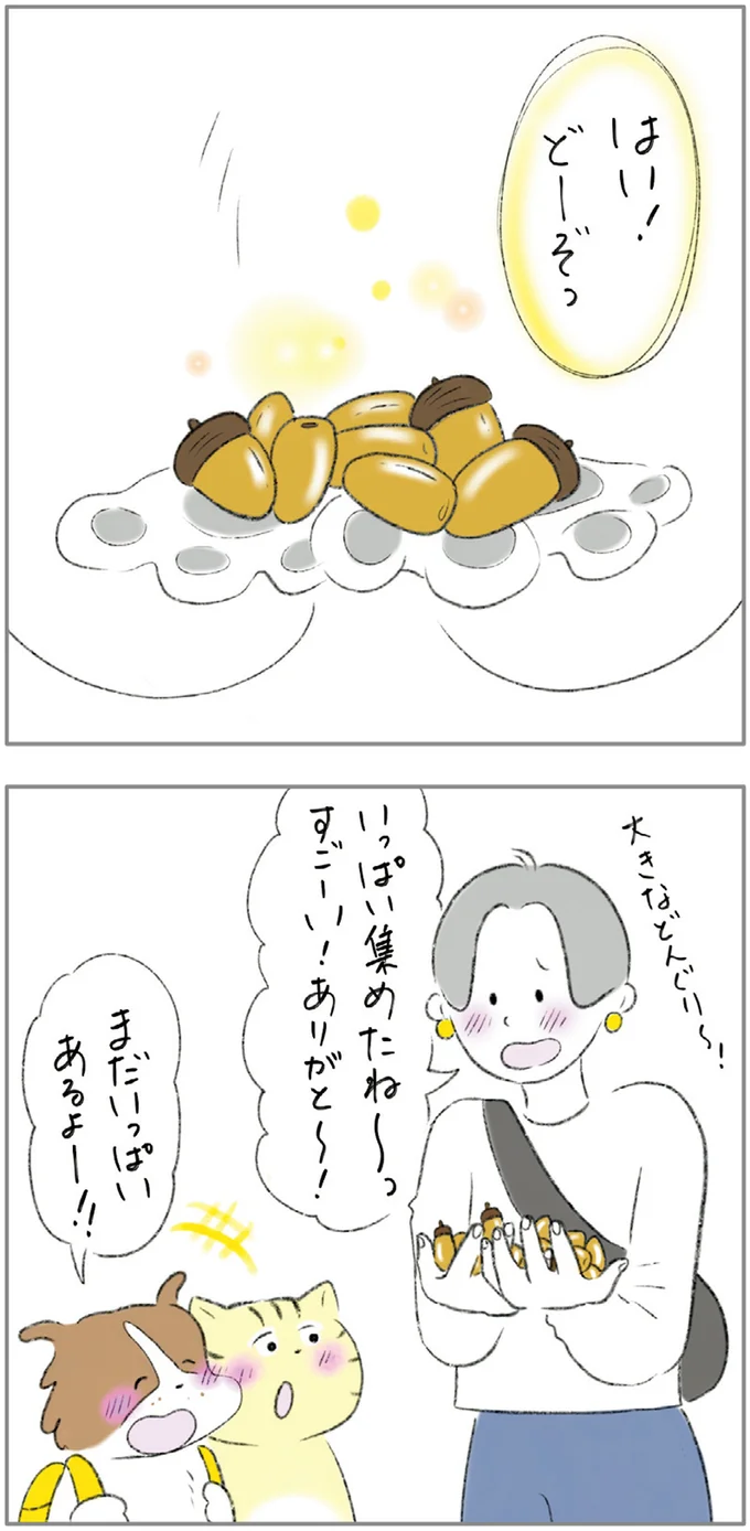 『ターとアグのしあわせ日和 元ノラ猫と元保護犬、ふたりは親友』 01-16.png
