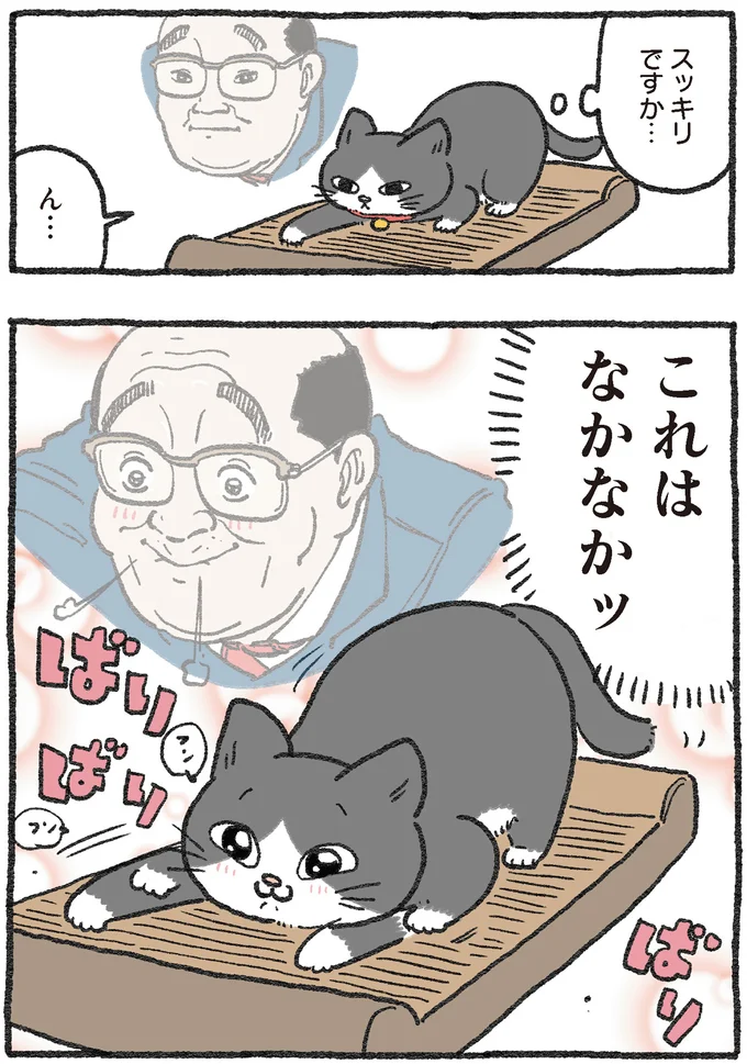 『ねこに転生したおじさん1〜3』 114.webp