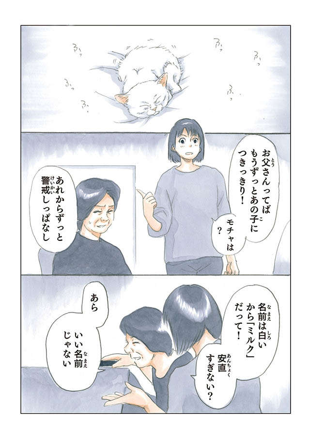 み゛ゃーー、弱々しく鳴く子猫を保護。抱き上げると「こんなに...」／拾い猫のモチャ 24.jpg