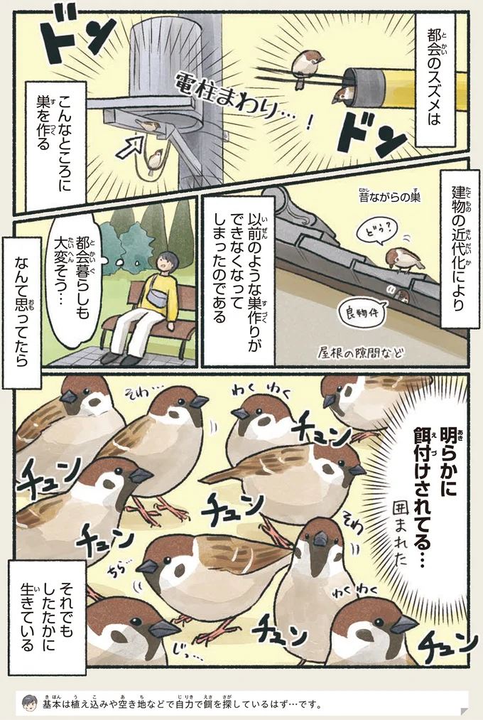 『意外と知らない鳥の生活 1〜2』 22.webp