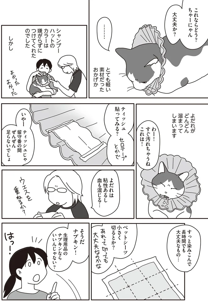 『世界一幸せな飼い主にしてくれた猫』 16-08.png