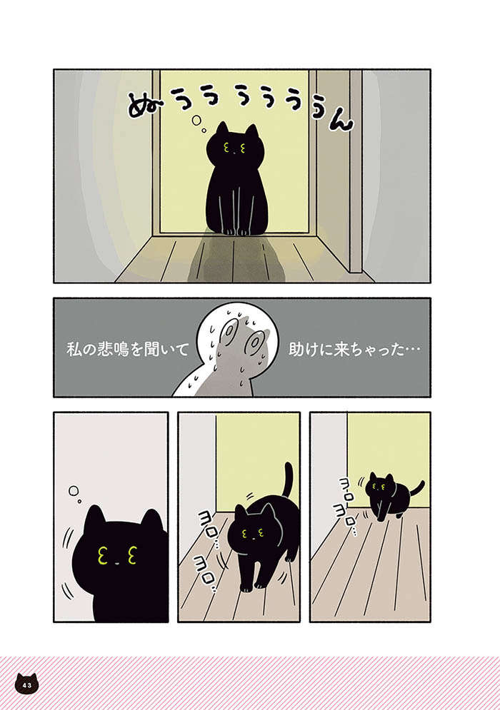 真夜中、猫が家の中で虫と対峙。お願い、手を出さないで...！／黒猫ろんと暮らしたら2 12.jpg