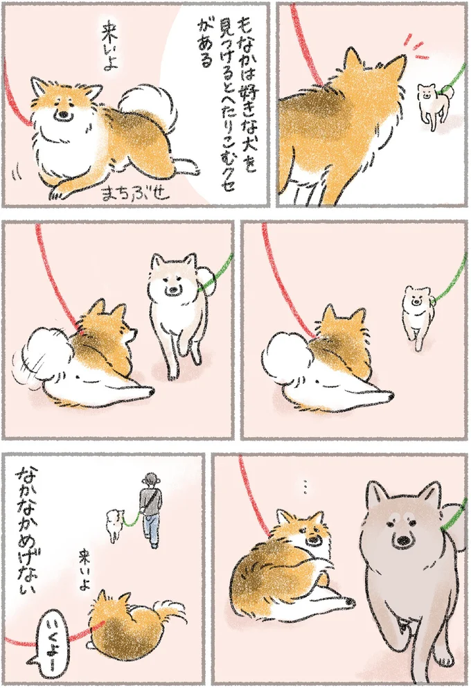 『犬を揉む　-ぺちょら... ときどき 帰宅拒否-』 24.webp