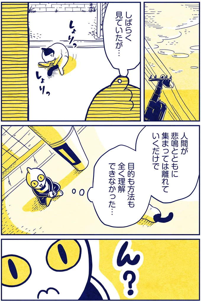 『宇宙人、猫と住む』 01-05.png