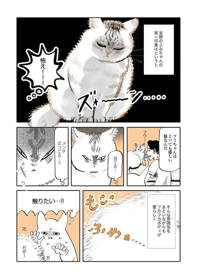 夫以外の全人類を嫌う猫・ふみちゃん。仲良くなりたくてあらゆる方法を試した結果／うちの猫は仲が悪い fumiuni1_002.jpg