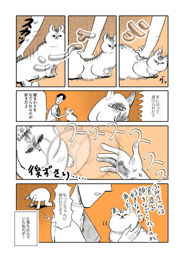 夫以外の全人類を嫌う猫・ふみちゃん。仲良くなりたくてあらゆる方法を試した結果／うちの猫は仲が悪い fumiuni1_003.jpg