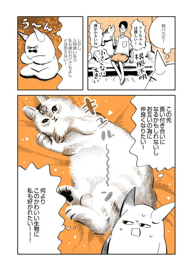 夫以外の全人類を嫌う猫・ふみちゃん。仲良くなりたくてあらゆる方法を試した結果／うちの猫は仲が悪い fumiuni1_005.jpg