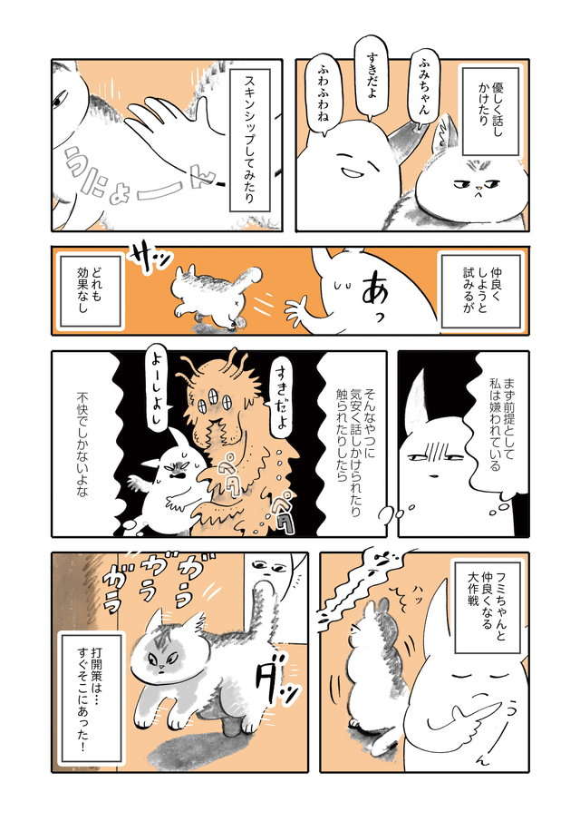 夫以外の全人類を嫌う猫・ふみちゃん。仲良くなりたくてあらゆる方法を試した結果／うちの猫は仲が悪い fumiuni1_006.jpg