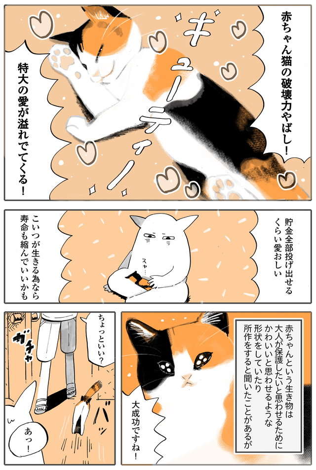 「きゃわああ！」新しく迎えた赤ちゃん猫。先住猫との初対面は最悪の結果に!? ／うちの猫は仲が悪い fumiuni3_003.jpg